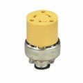 Cooper Industries Arrow Hart Locking Connector, 2 -Pole, 20 A, 125 V, NEMA: NEMA L5-20, Yellow 2353-BOX